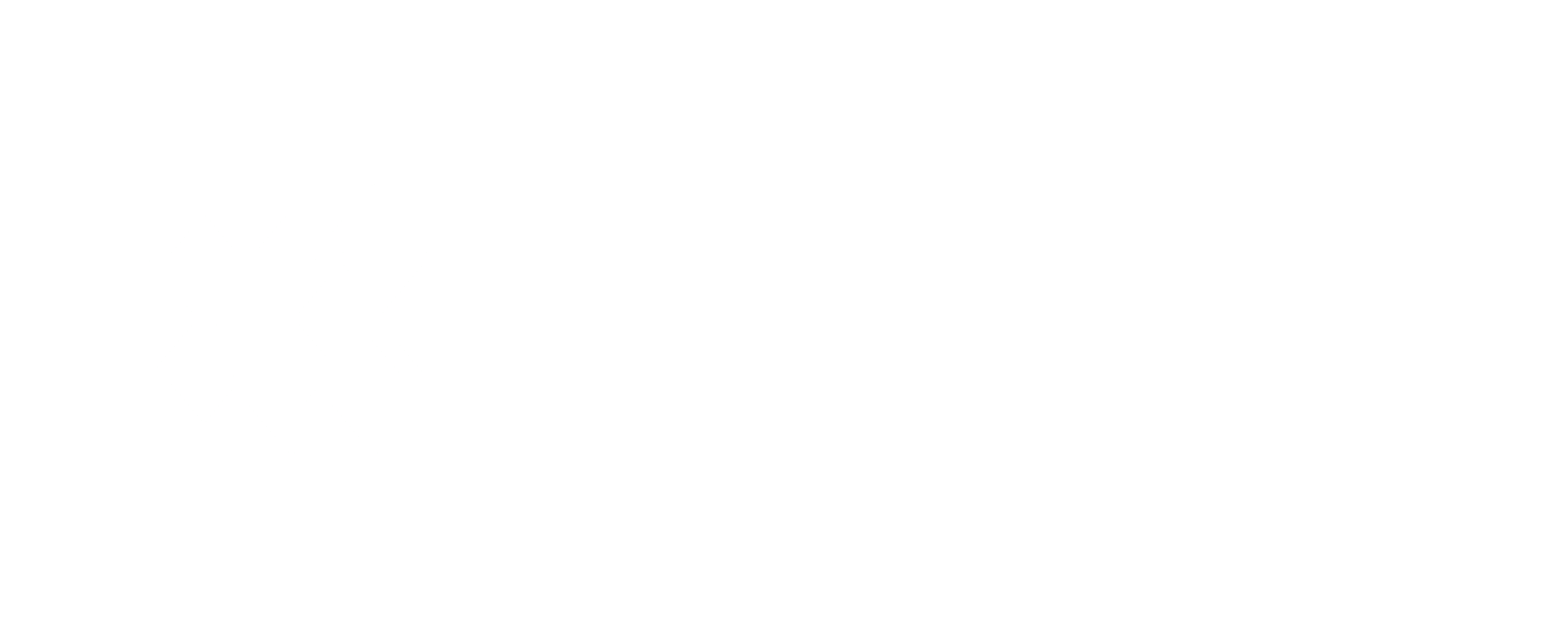 Promaseg